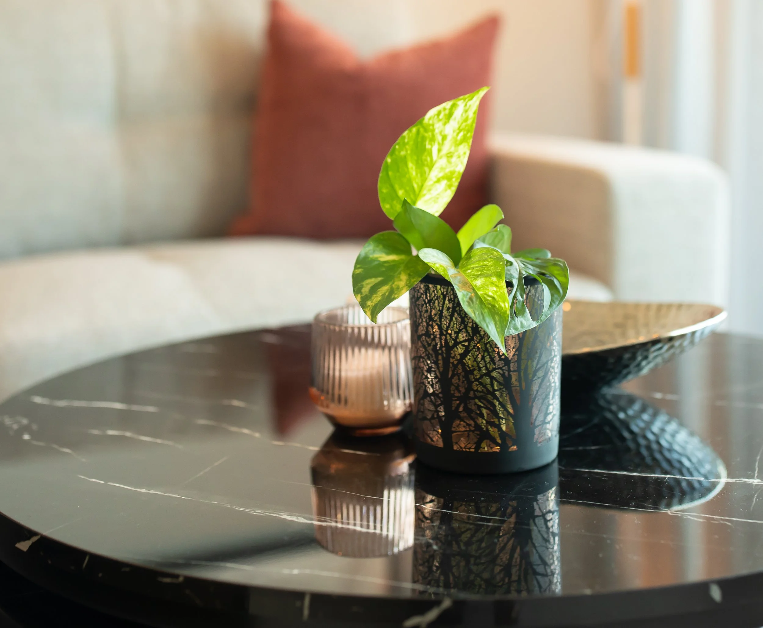 Premium Furnished Apartments