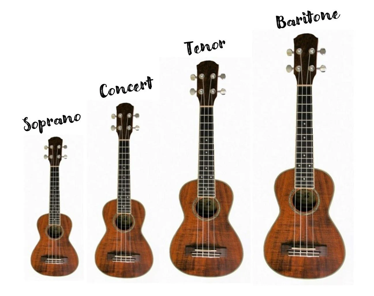 Four different ukulele sizes.