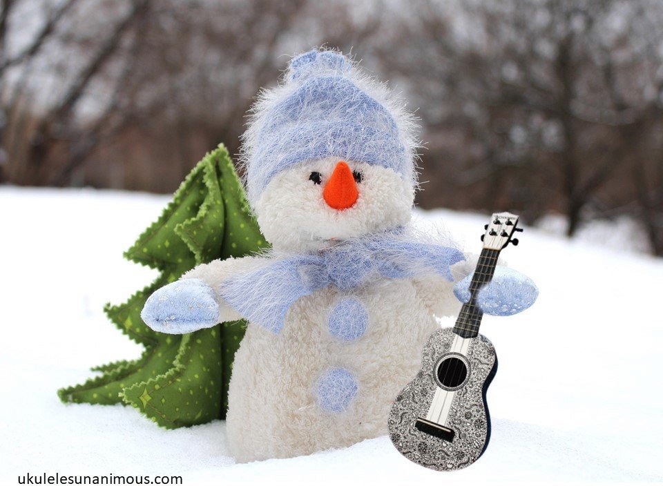 Top Ten New Year Ukulele Resolutions to Improve your playing.