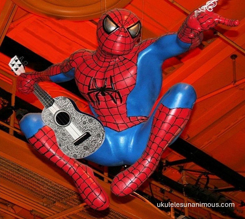 Everything You Need To Know About The Ukulele!
