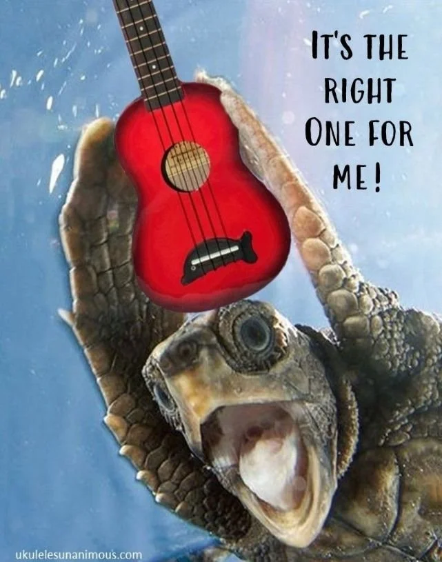 SIX THINGS TO KNOW BEFORE BUYING A UKULELE