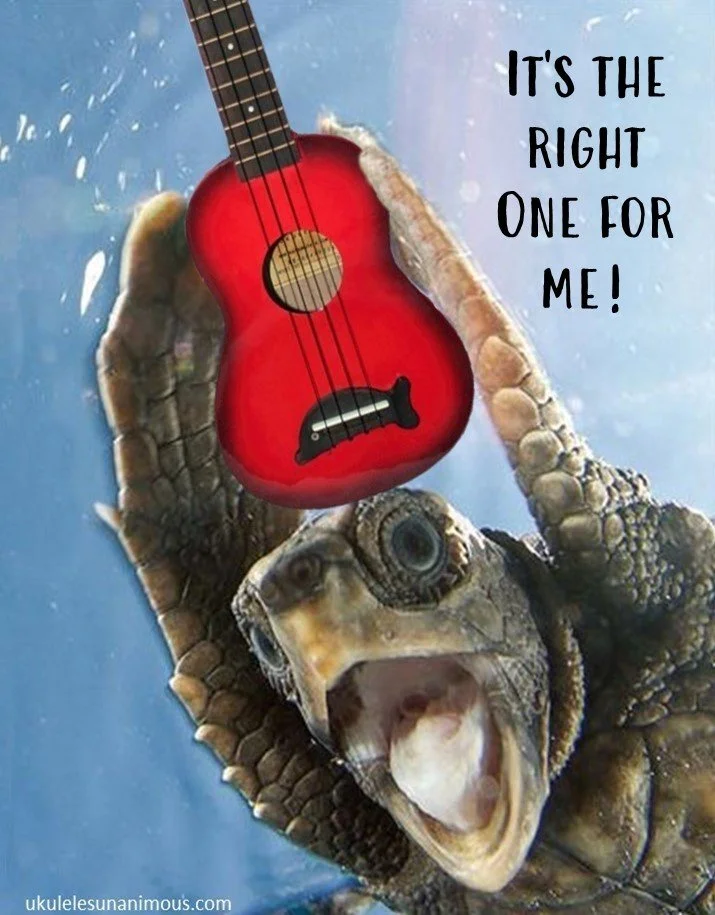 6 Things to Know Before Buying a Ukulele: A Beginner's Guide