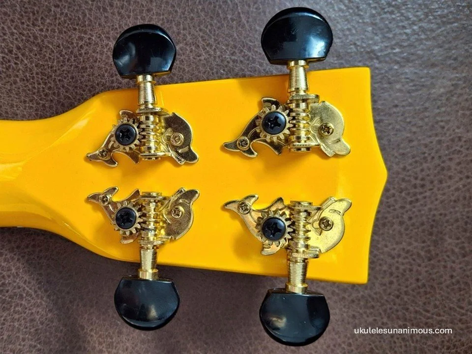 Why Won’t My Ukulele Stay in Tune? (And How to Fix It)