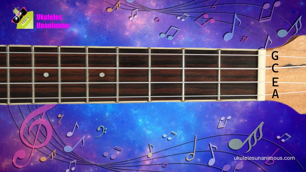 Ukulele fretboard showing G C E and A strings.