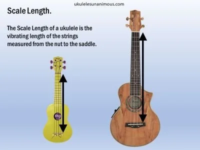 Diagram demonstrating ukulele scale length.
