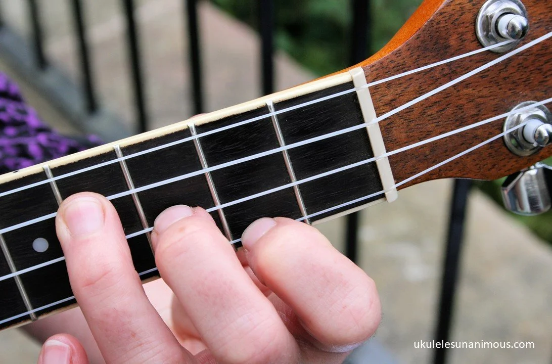 Close up of fingering for E minor chord on ukulele.