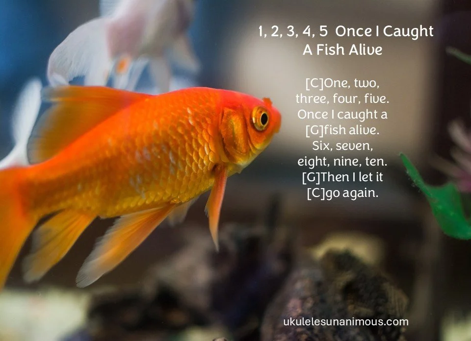 Ukulele chords and lyrics to once I caught a fish alive.