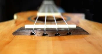 Close up of a standard ukulele bridge.