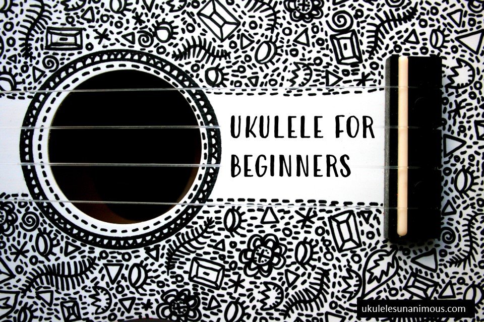 Close up of ukulele strings.