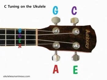 Tuning pegs on a ukulele headstock.