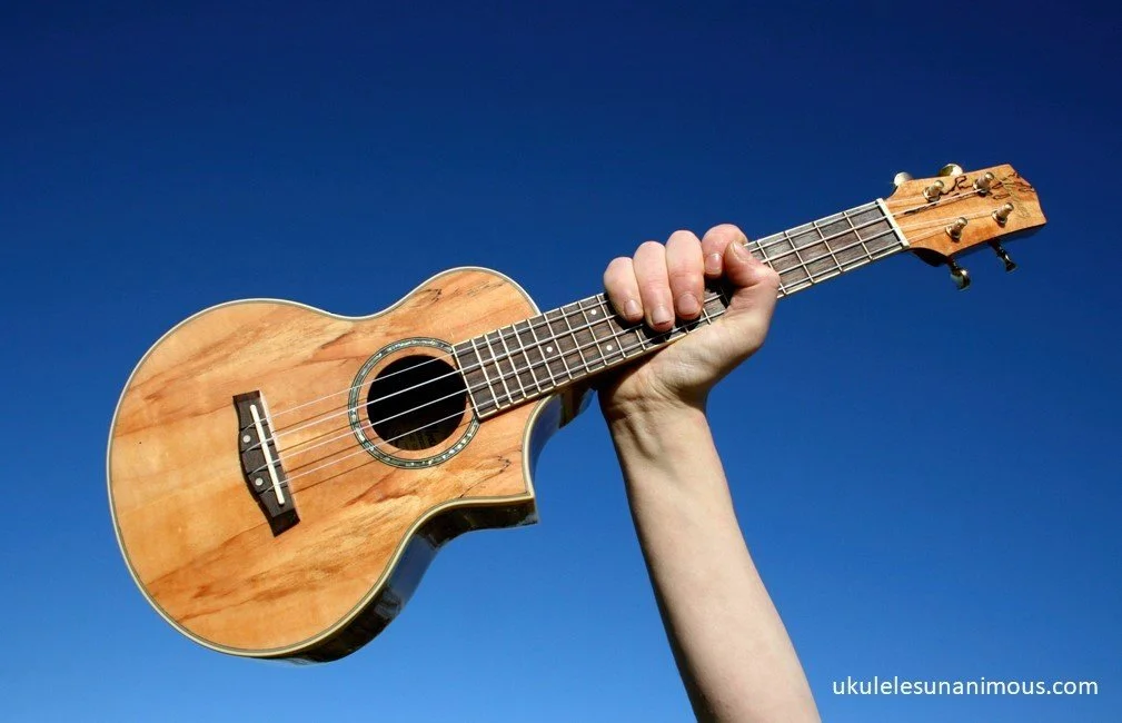 Ukulele held high against a blue sky.