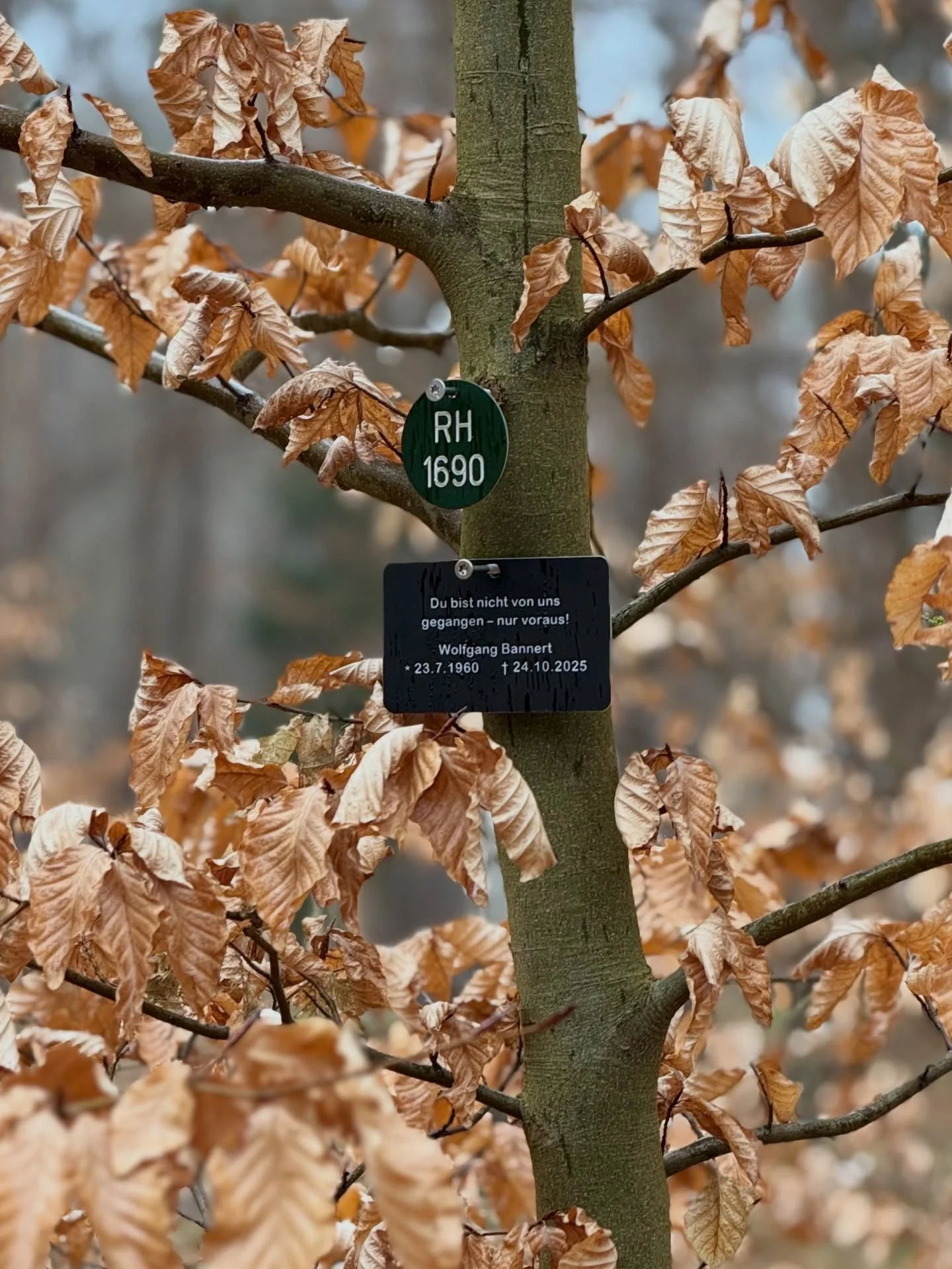 Oct 24, 2025 &ndash; heute vor 6 Monaten mussten wir Papa gehen lassen. Es f&uuml;hlt sich an, als w&auml;re er doch eben noch da gewesen, ein Anruf, eine Zugfahrt entfernt. Die Wirklichkeit ist noch unwirklich. Ein halbes Jahr ist keine Zeit, um zu 