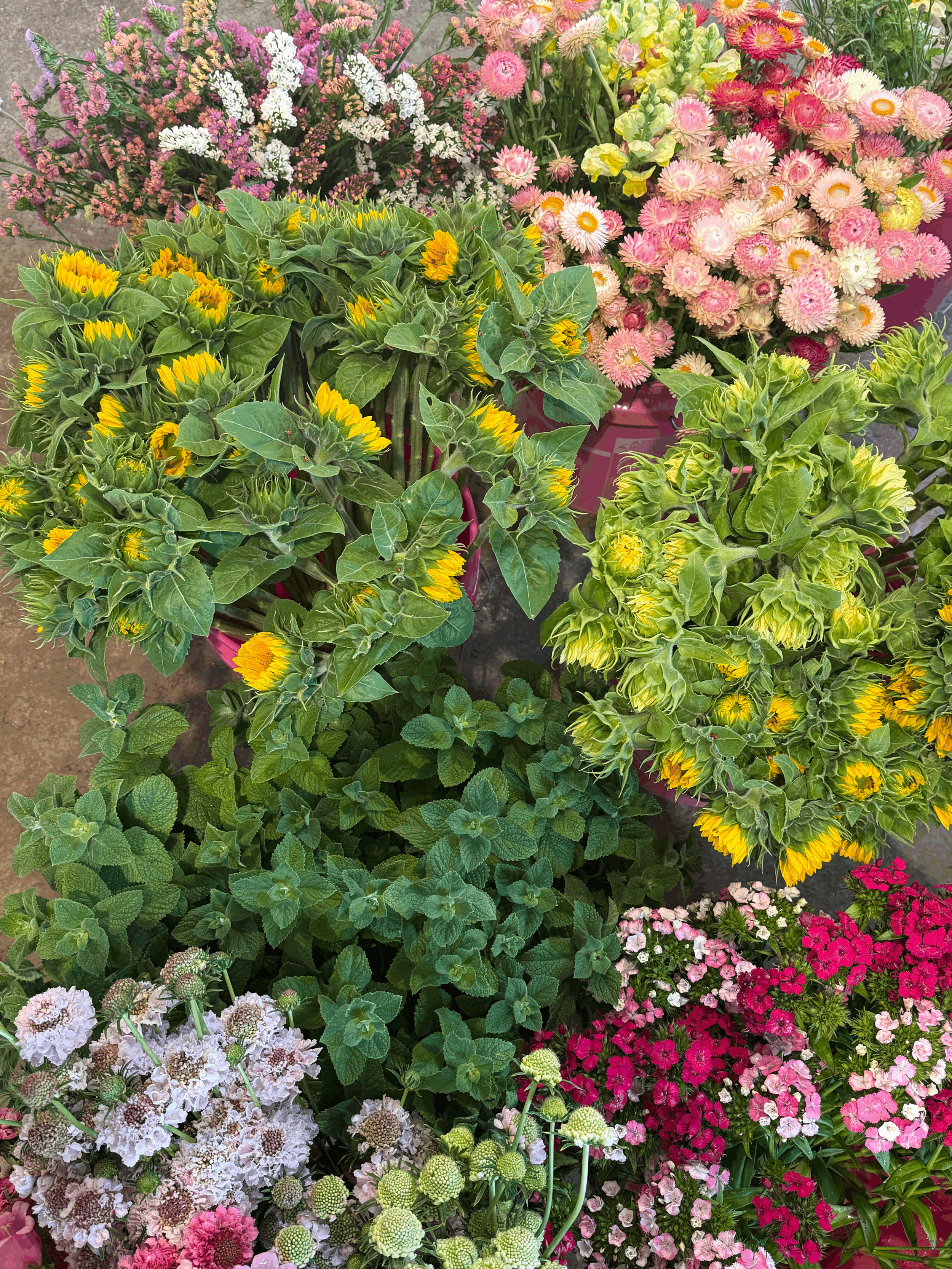 tempImagemaOfJ8.gif