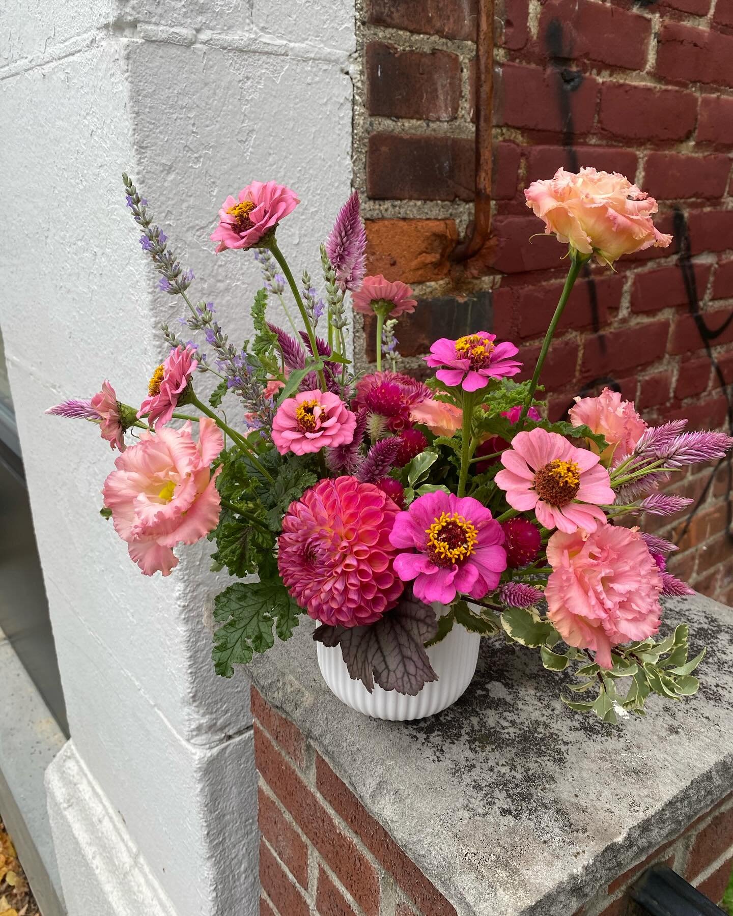 It&rsquo;s official, the leaves are starting to fall &amp; blow in the breeze. And just like that, I&rsquo;m showing no mercy to the garden goods ✂️ snip snip ✂️ 

#localflowers #somervilleflorist #bostonflowerdelivery #somervilleflowerdelivery #bost