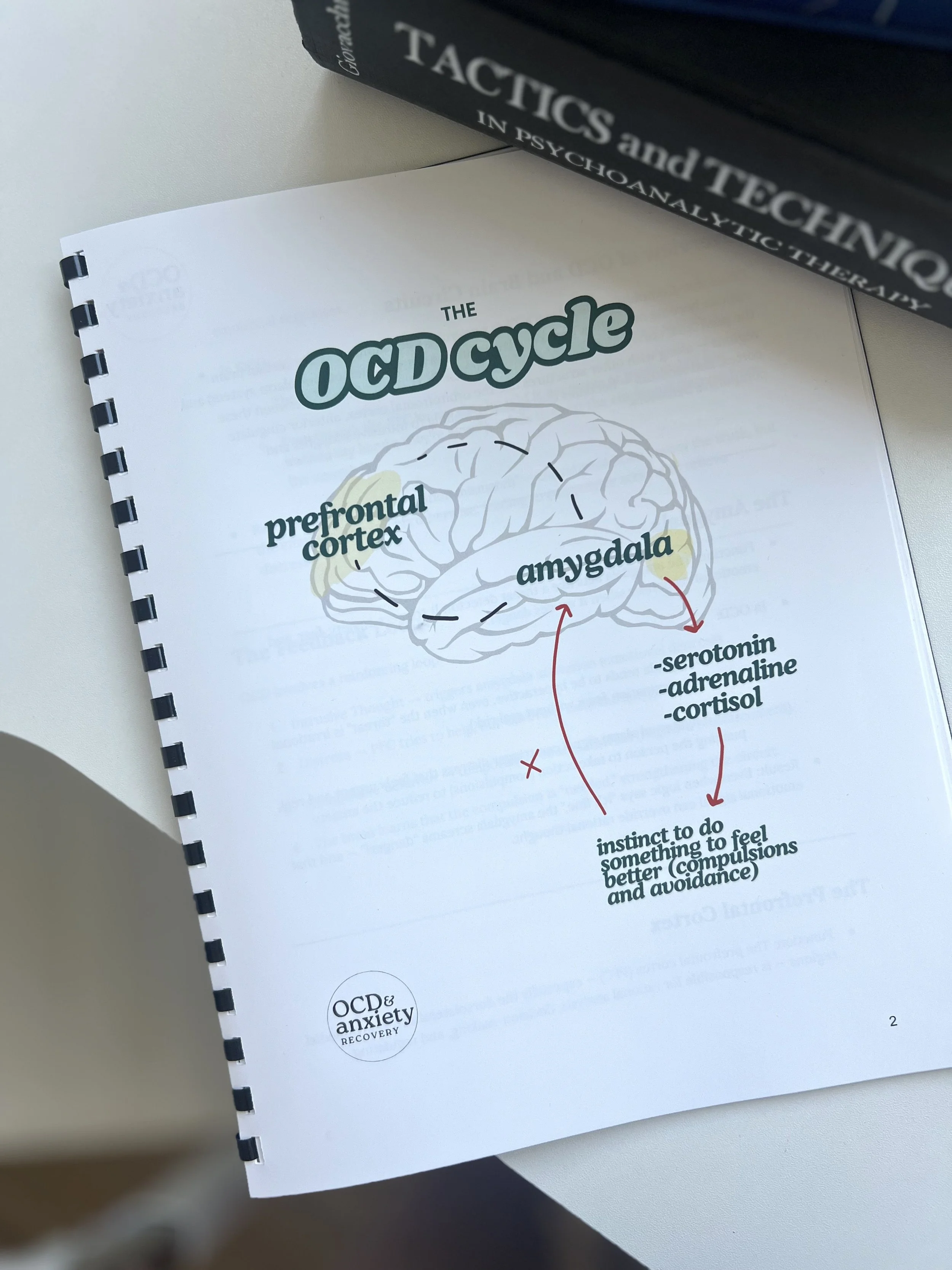 The Brain Behind the Loop: What Causes OCD, According to Current Research