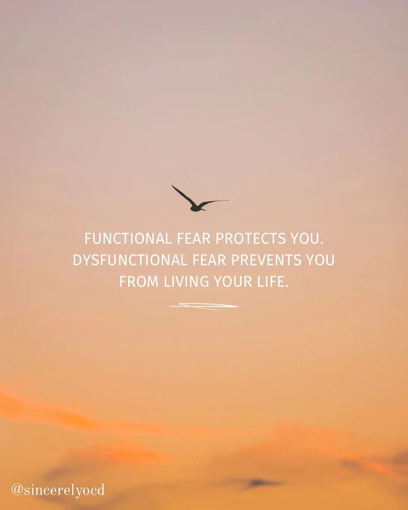 When fear loses its function.. 

 #ocd #obsessivecompulsivedisorder #ocdawareness #ocdhelp #ocdrecovery #ocdsupport #ocdproblems #ocdprobs #ocdlife #ocdtherapy #exposuretherapy #erp #exposureresponseprevention #erptherapy #ocdreassurance #ocdcommunit