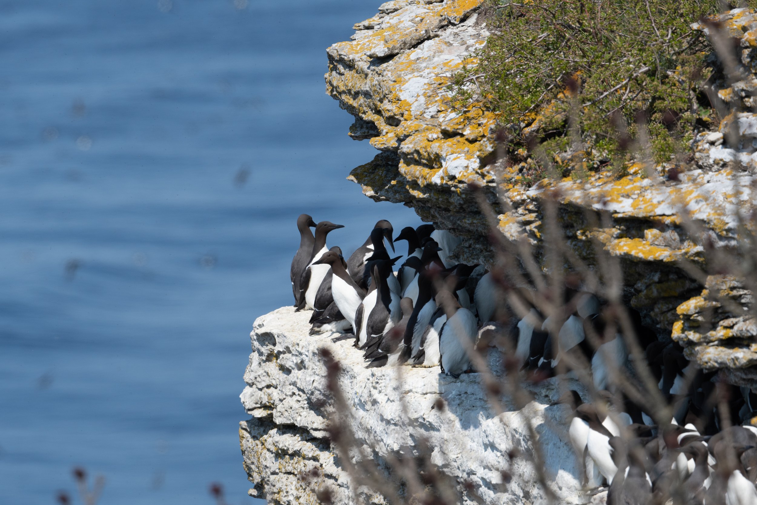 DSC_0594-2.jpg