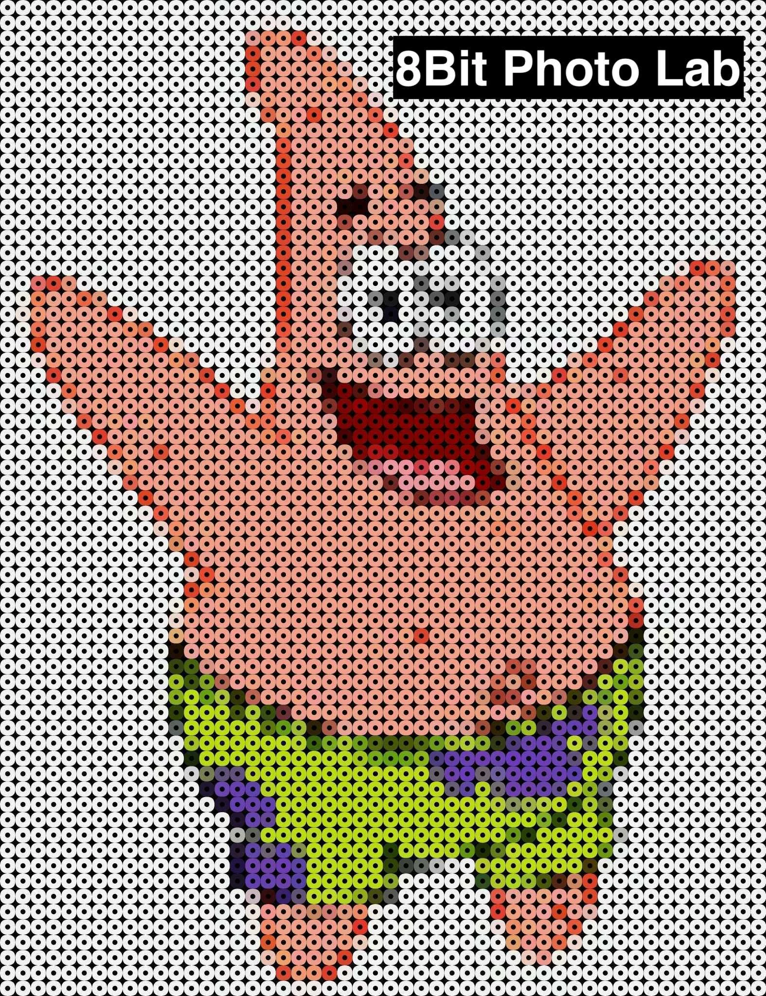 Perler Bead Converters — Perle Up & Die