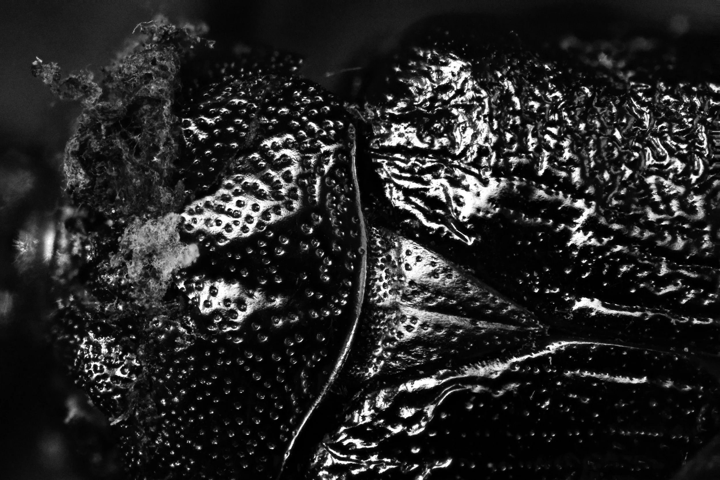223026-07-07-22.58.31 ZS PMax copy.jpg