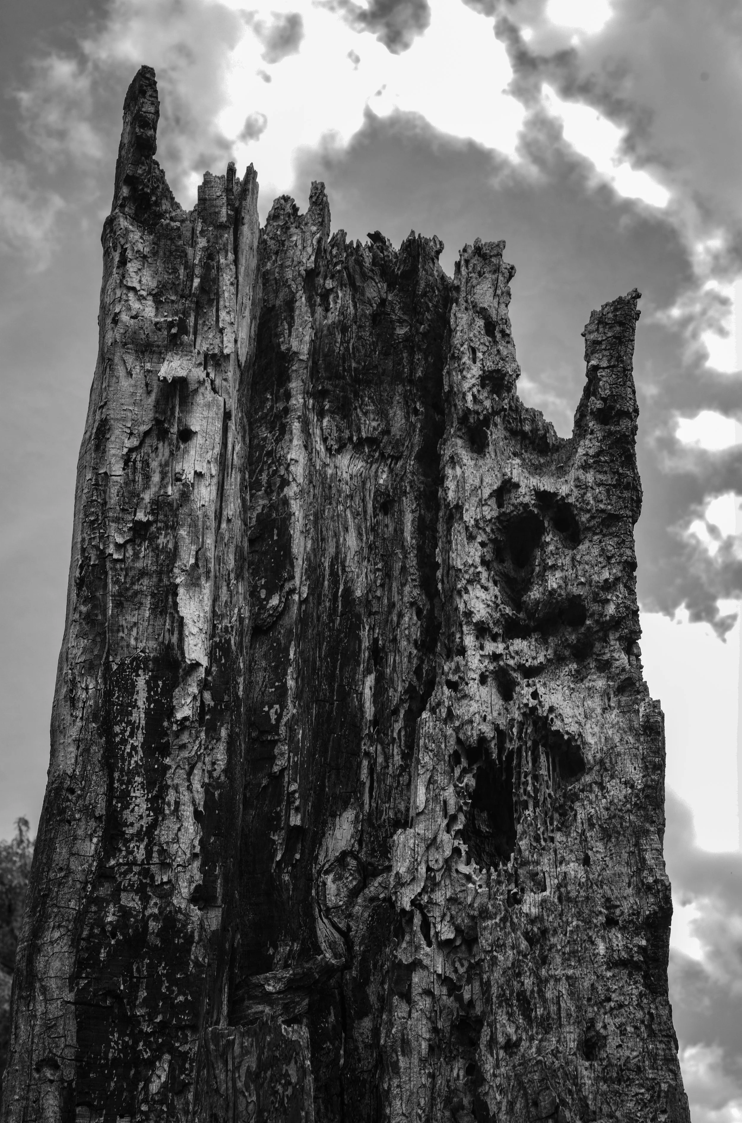 M10R8835untitled.jpg