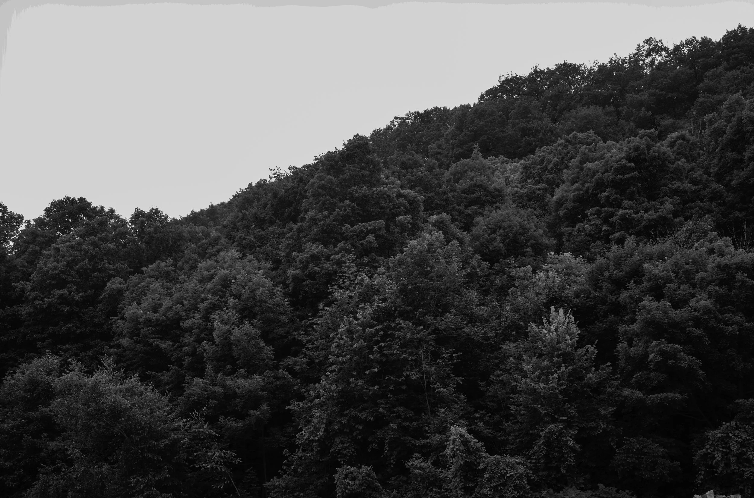 M10R8860untitled.jpg