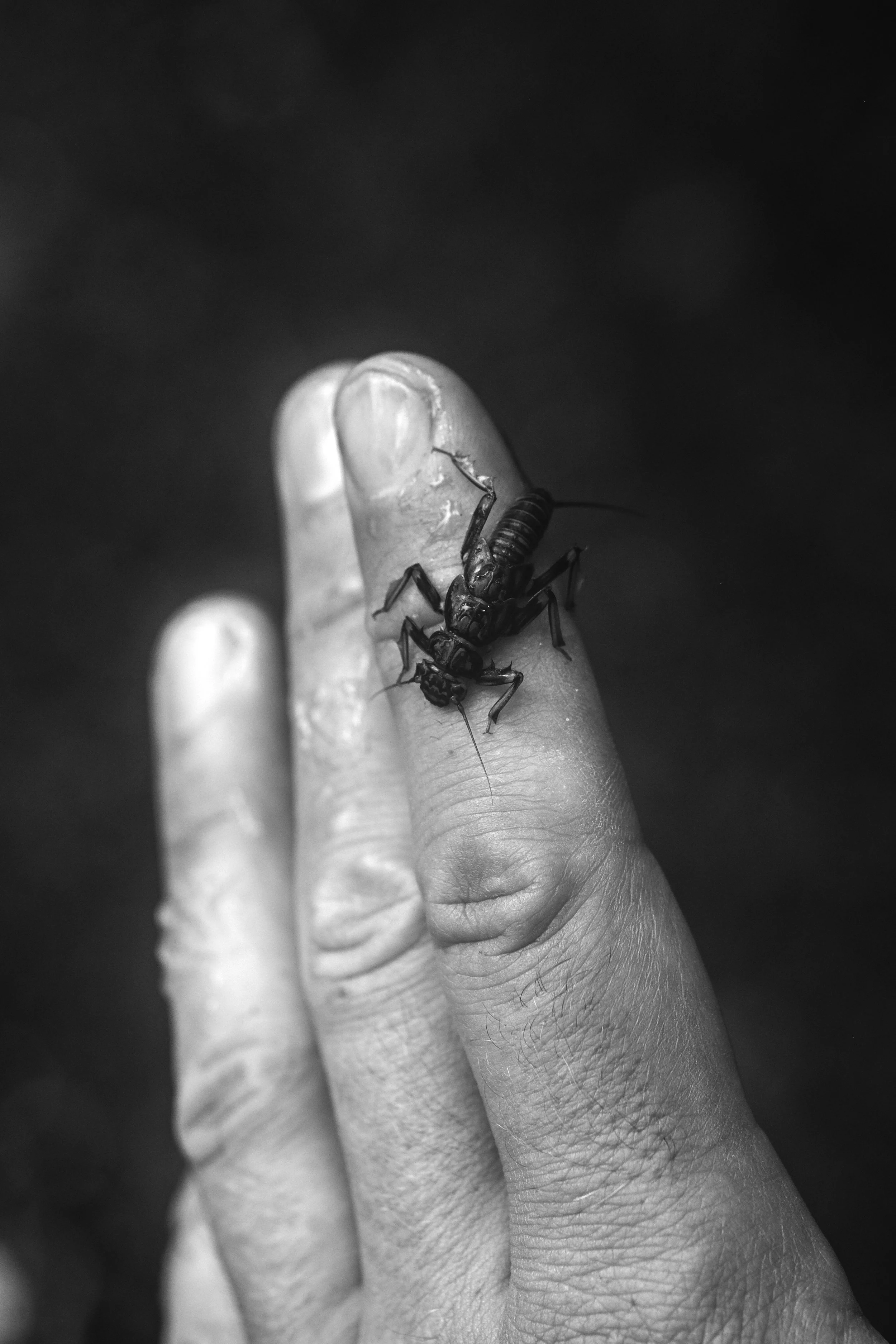 DSCF4827-Edit.jpg