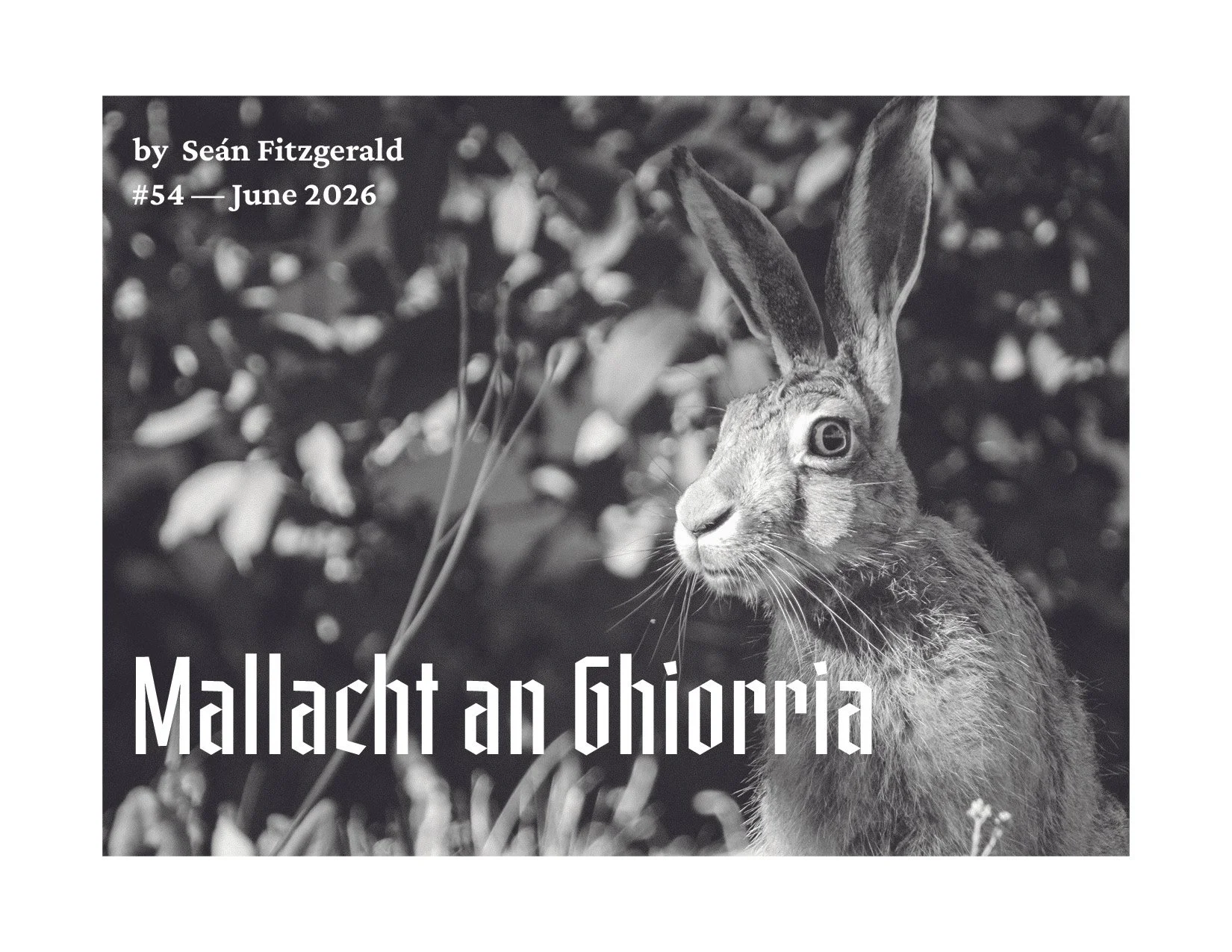 Mallacht an Ghiorria