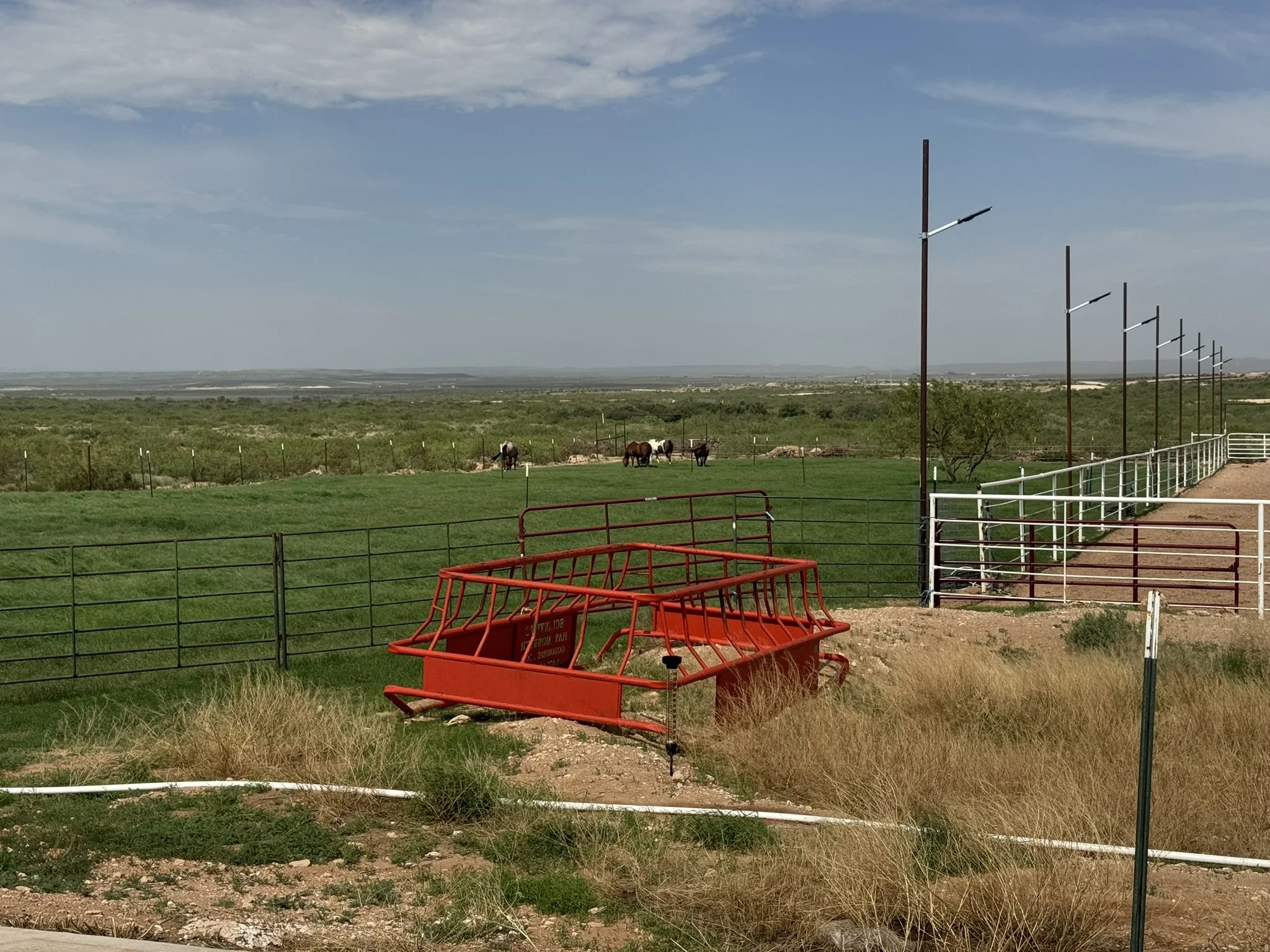 Wide view of a rural landscape with green fields, a few horses grazing, and a line of utility poles extending into the distance under a partly cloudy sky. In the foreground, there are red and white metal barriers.