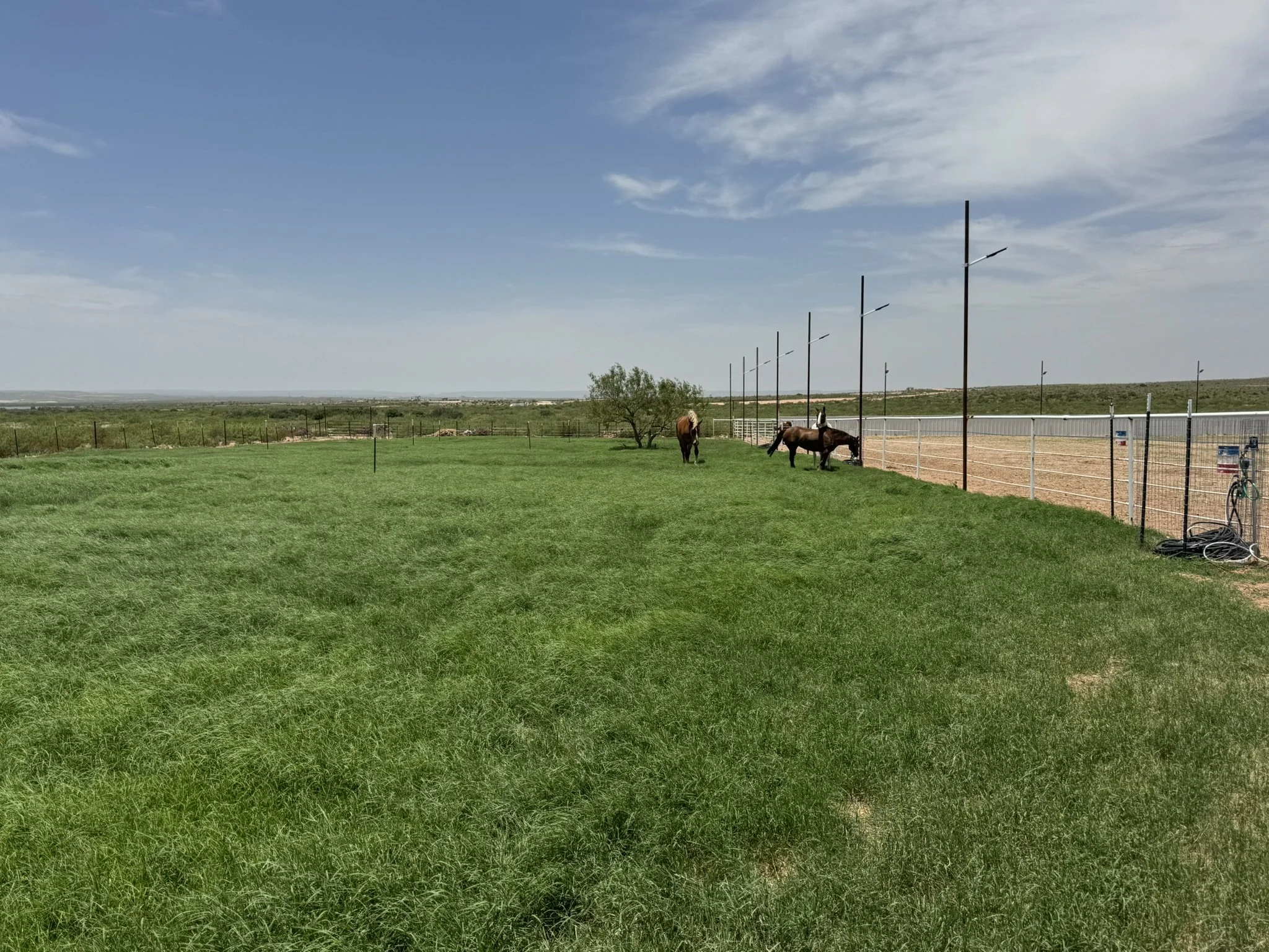 A large outdoor grassy area with two horses, a tree, and a fence, under a partly cloudy sky.