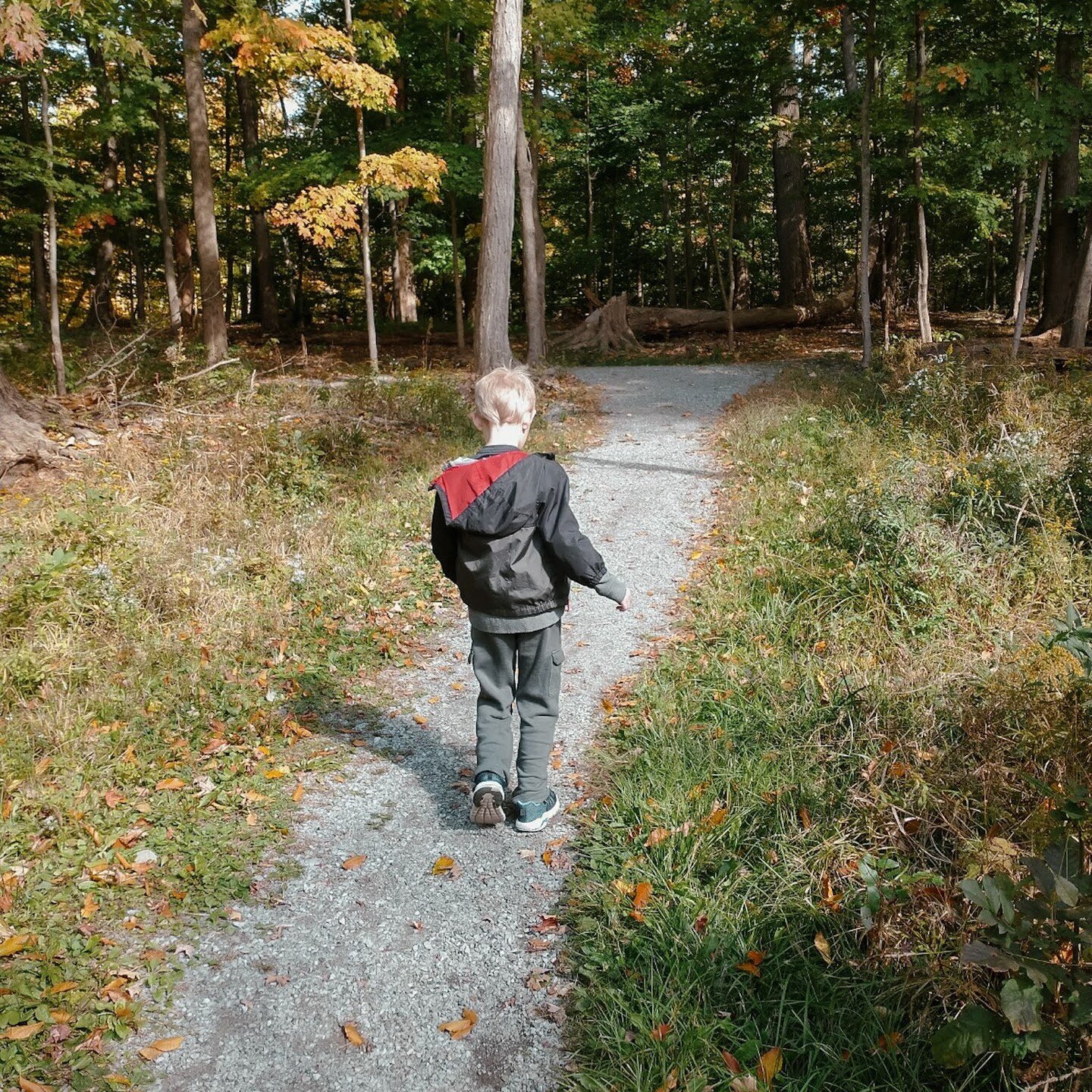 My son was almost a Halloween baby, but he held out for the first day of NaNoWriMo, seven years ago today! I definitely did NOT write a novel that month.

Good luck to everyone starting NaNo! I wish you limitless ideas, complex characters, and 1,667 
