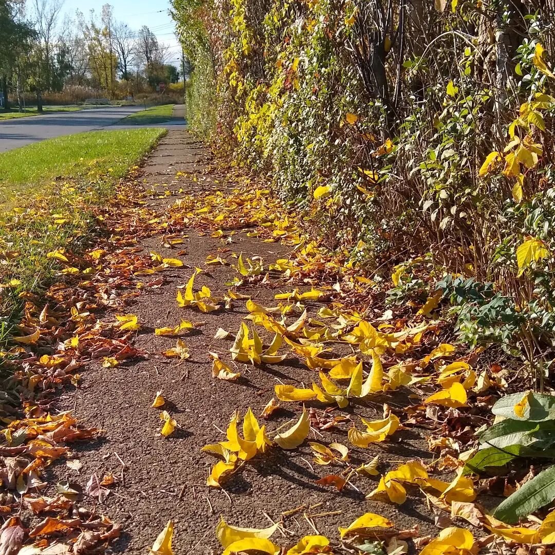 Happy Tuesday! #StetWalk