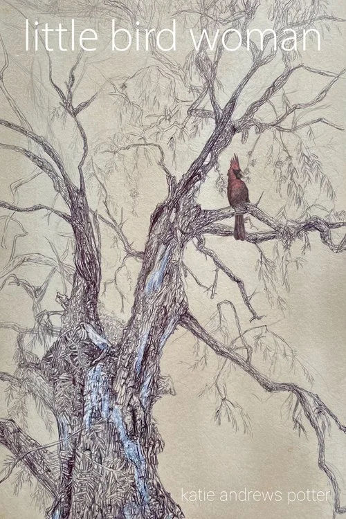 Little Bird Woman by Katie Andrews Potter.jpg