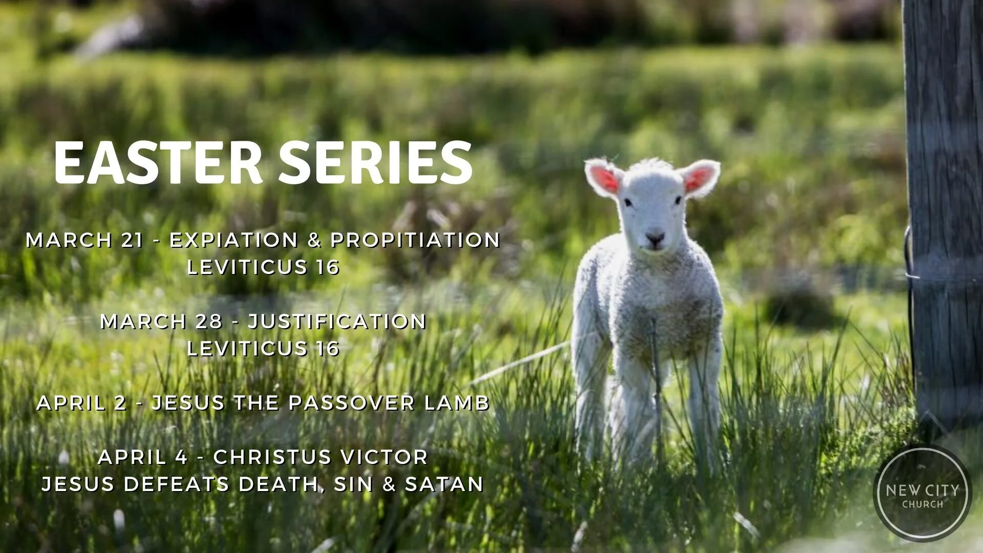 Justification  |  Romans 3