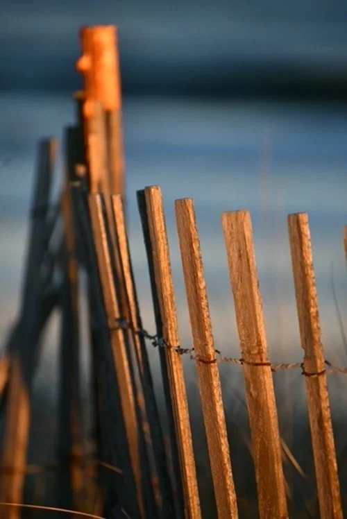 fencing