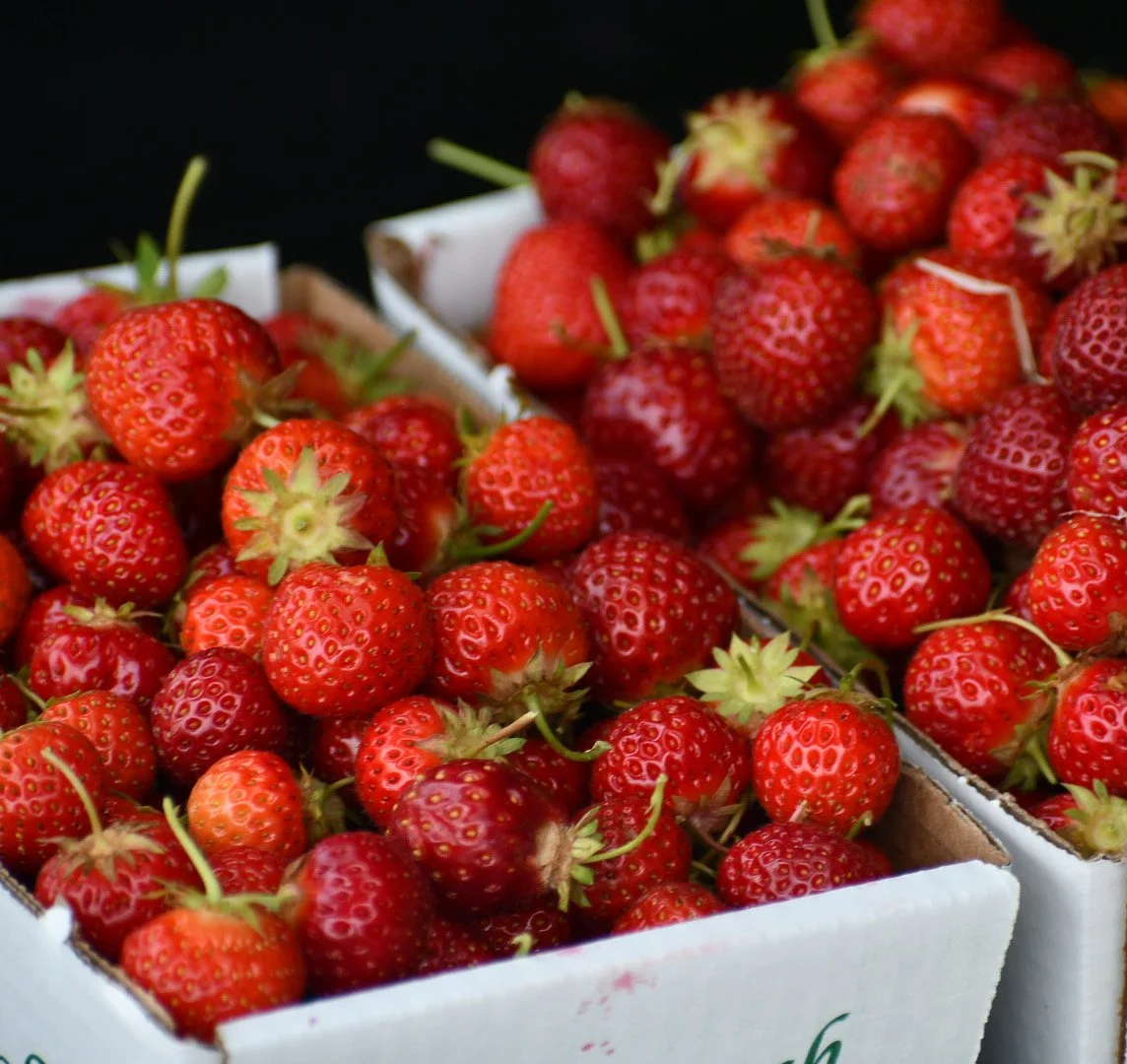 strawberry season
