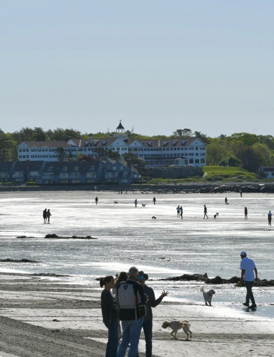 Morning at the beach
