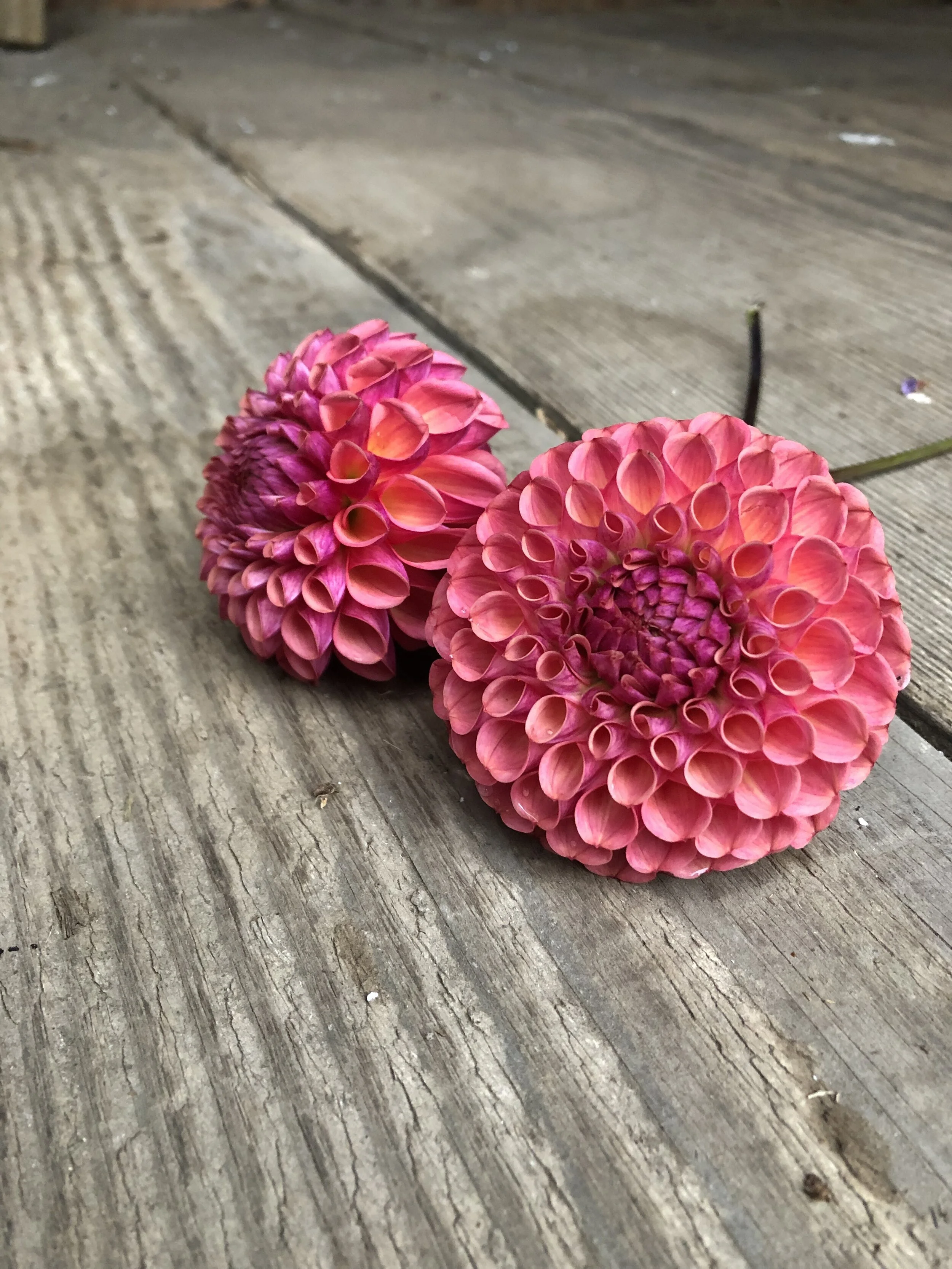 7D6FF91D-818A-4C79-ACFE-052A3425F0D1