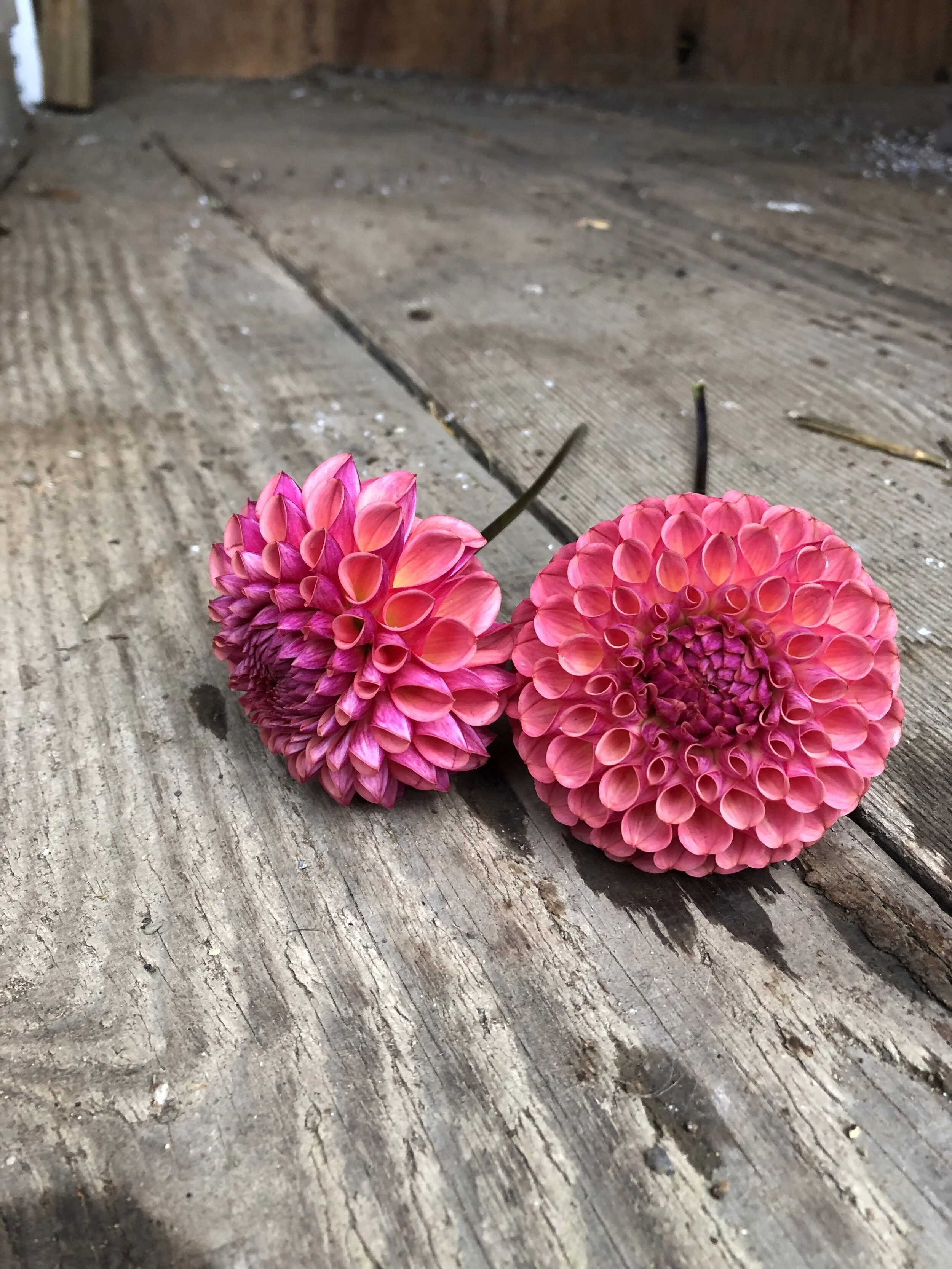 EF9CA749-8A6E-45C0-9DE5-4E14F4C83FF0