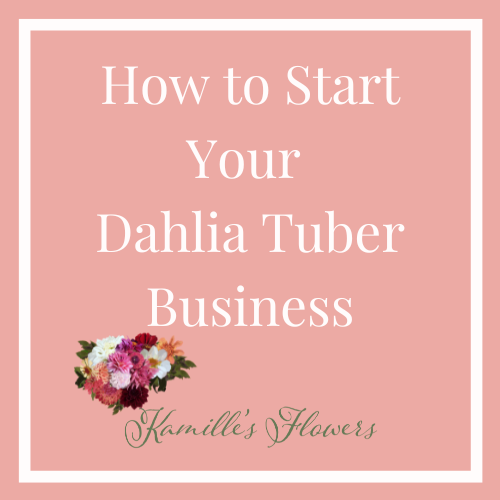 How to Start a Dahlia Tuber Business.png