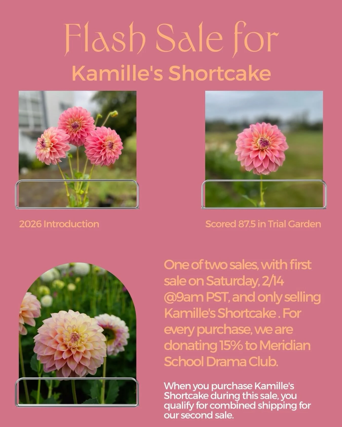 I&rsquo;m excited to share that I am doing things a little different this year. I do not want to delay getting my new introduction, Kamille&rsquo;s Shortcake out there in your hands. 

So I am doing two sales this year, with the first one being a fla