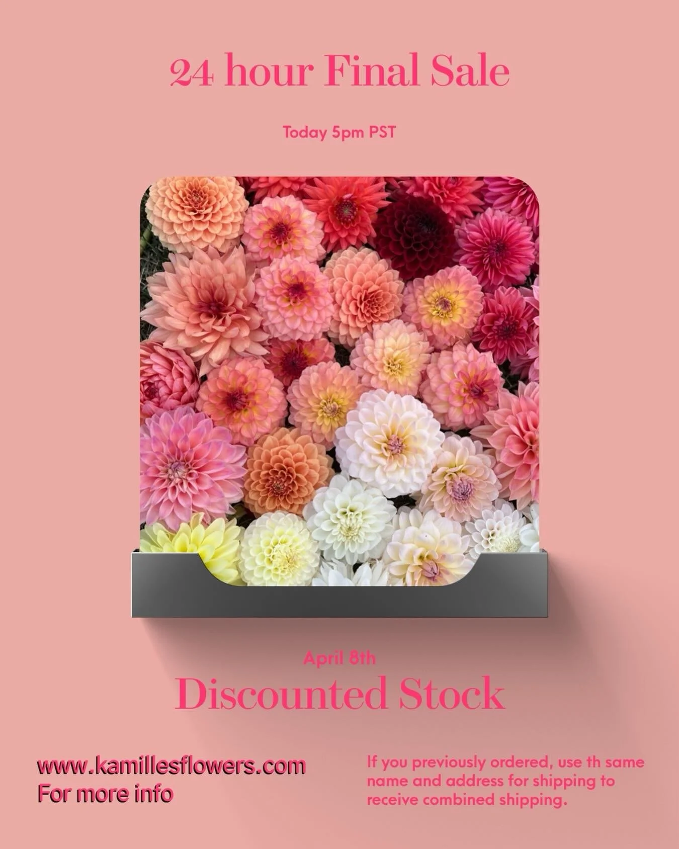 Today at 5pm PST 4/8 is a final 24 hour sale. Everything but my Kamille&rsquo;s Shortcake is discounted. Anything purchased at during this final sale is a final sale as it is deemed my ugly tuber sale. All tubers will have an eye and intact neck. 

P