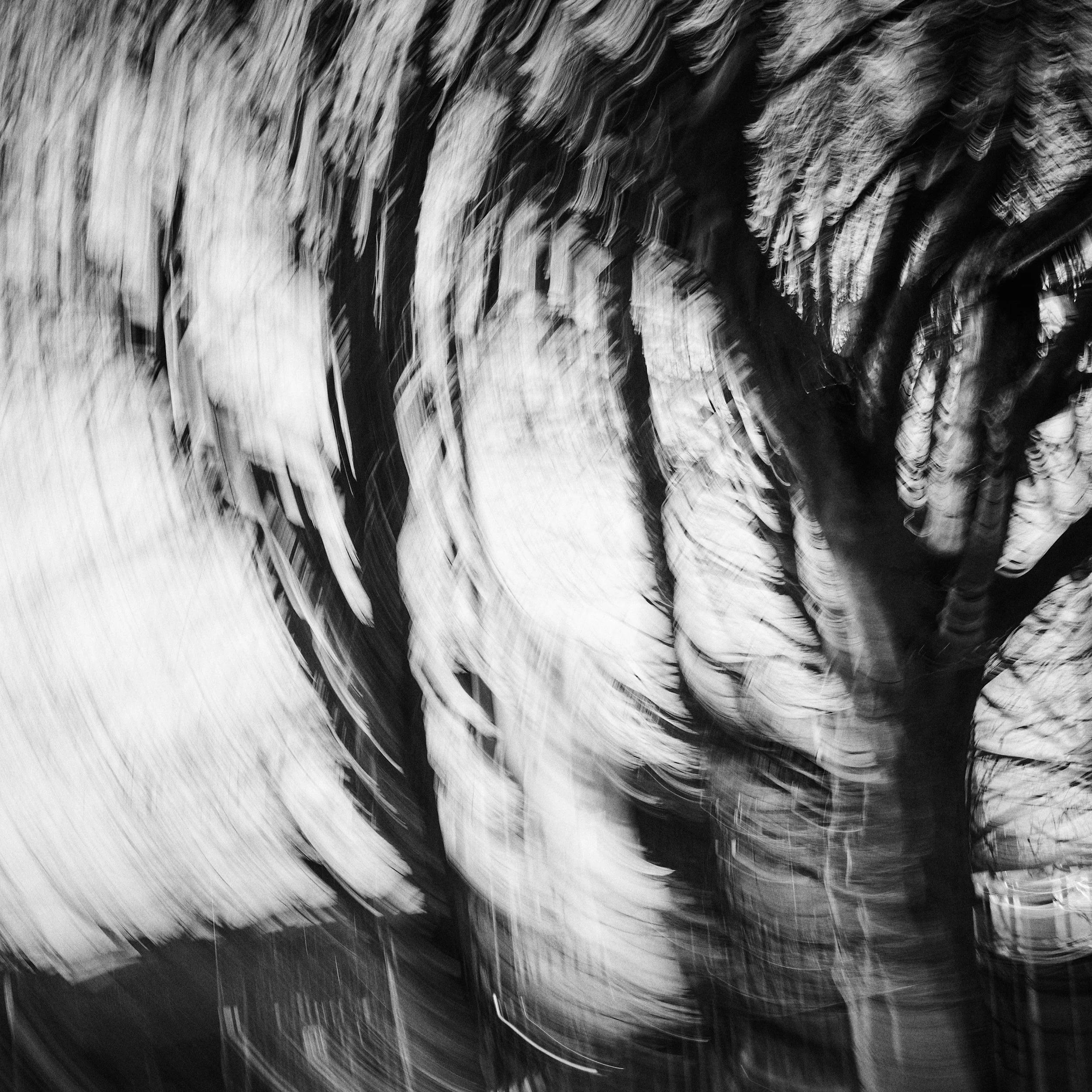 Tales from the Loop: When Apathy Strikes