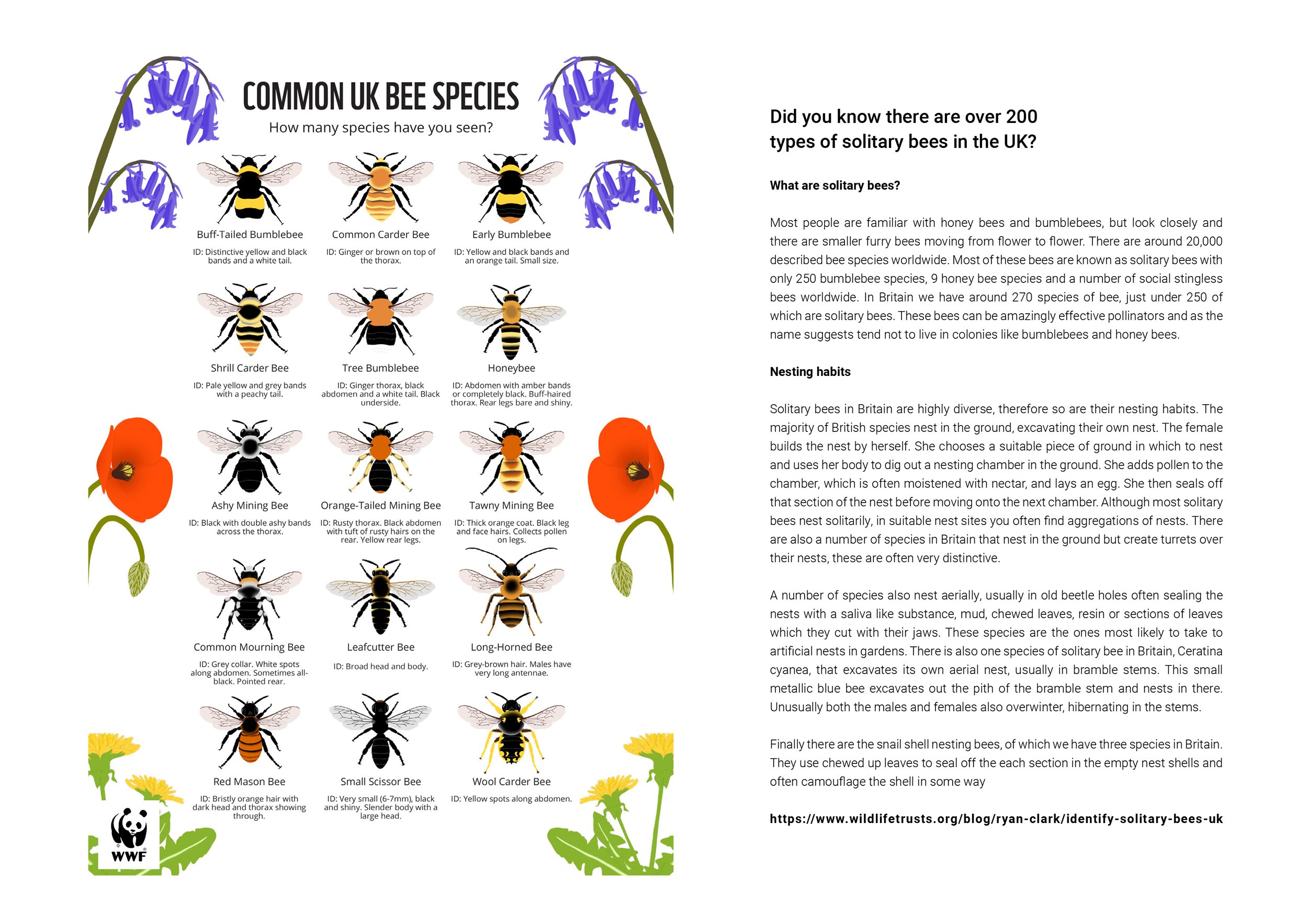 Colony_Club_Pamphlet-3.jpg