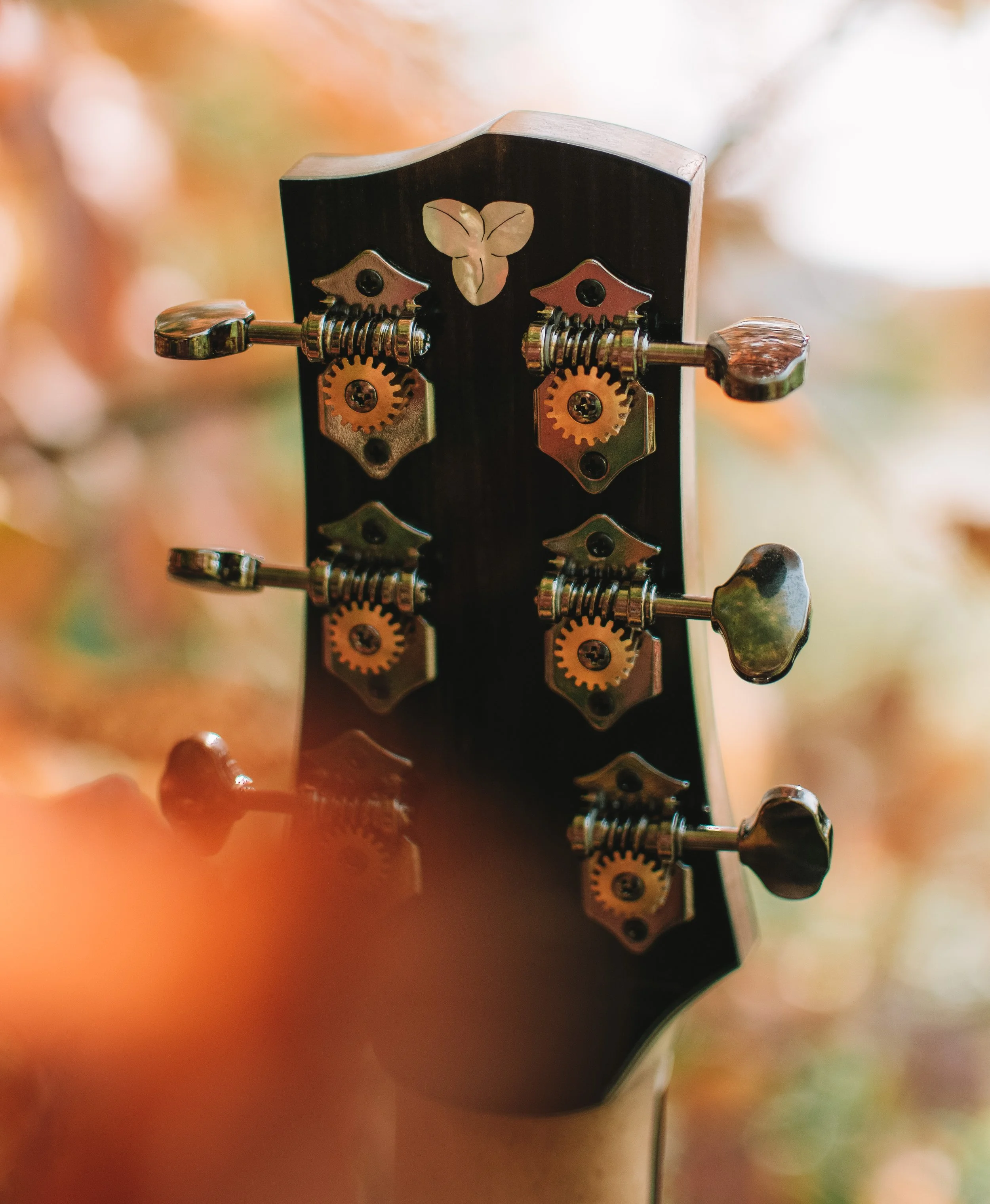 Xavier Guitar-0024.JPG