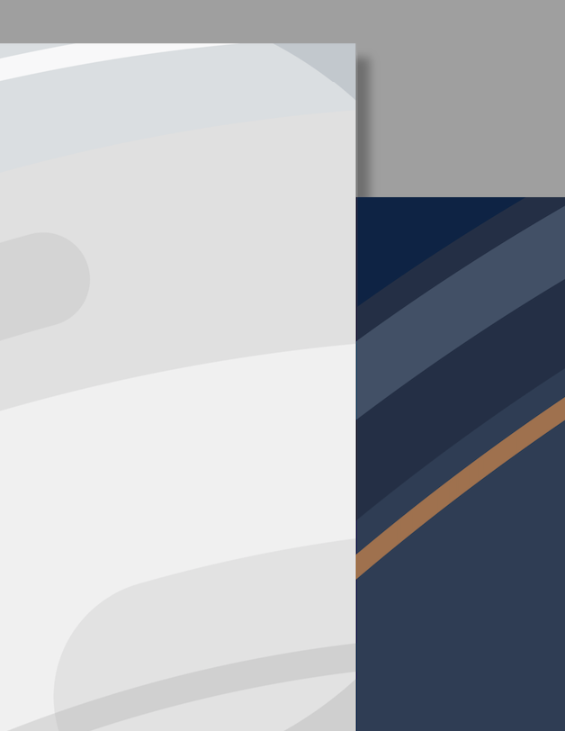 Screen Shot 2022-11-11 at 12.50.09 PM.png