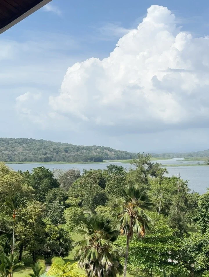 Beautiful Panama 🇵🇦 Panama City, Gamboa, Jungle &amp; Waterfalls!
#panama #lostandfoundhostel #fonda #ceviche #gamboa #jungle