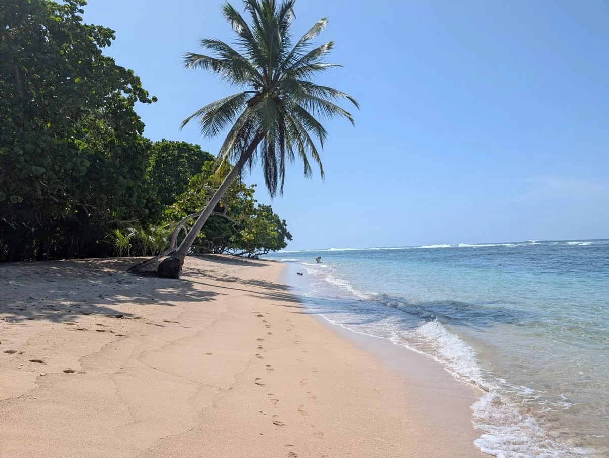 🇵🇦 Polo beach Bastimentos. Where a local legend lives. 
Moments like this make me forever grateful, for nature, for kind people, for the possibility to travel, for the body I have to get to destinations like this ❤️

Polo cooked us up some freshly 