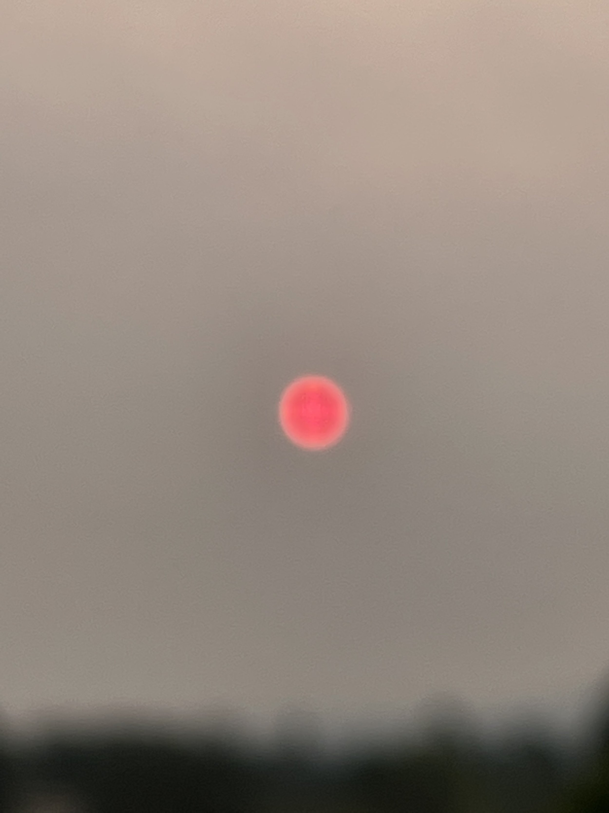 709FF63C-EFC1-41F0-BAFD-BF4364EFE8DA.jpeg