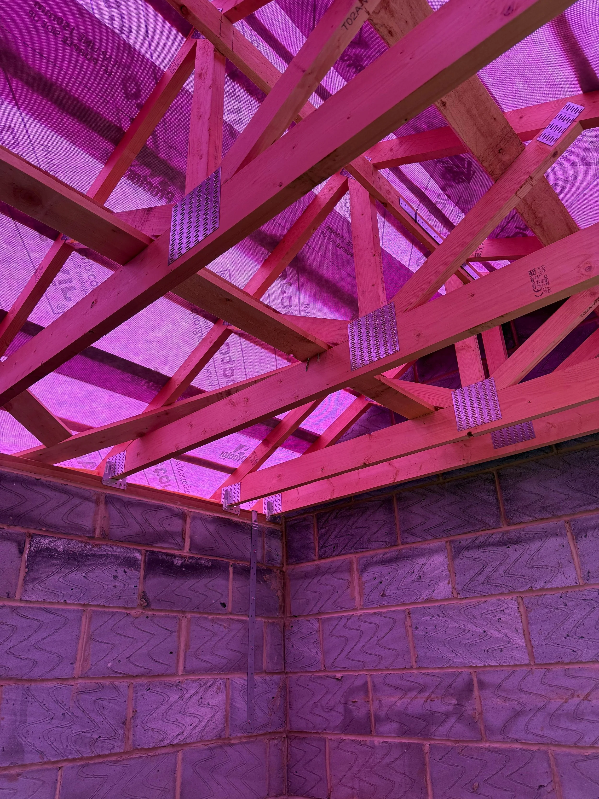 Wooden roof trusses and purple insulation material on the ceiling of a building under construction.