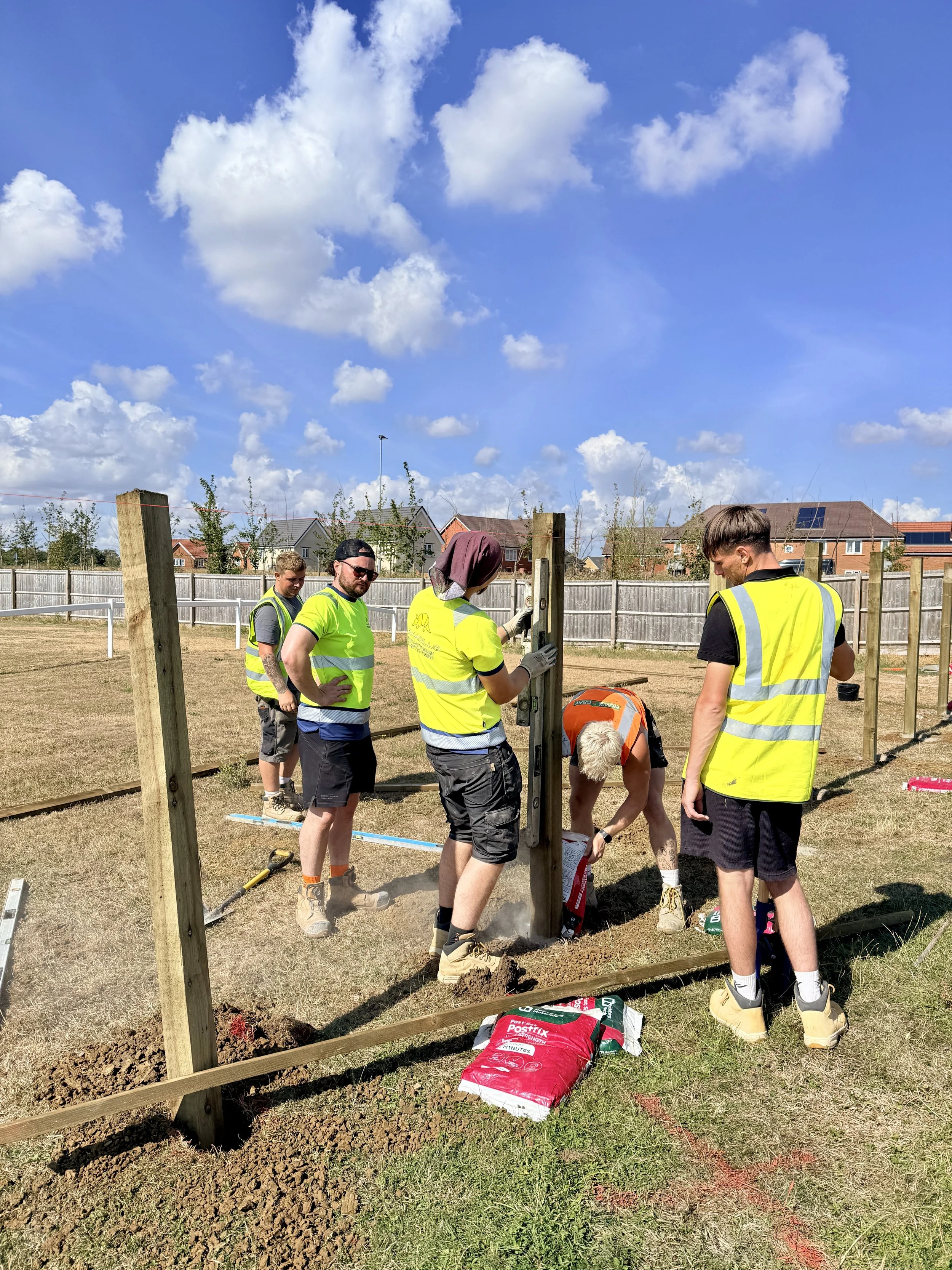Group of people working together to build a wooden fence outdoors on a sunny day, with houses and a bright blue sky with clouds in the background.